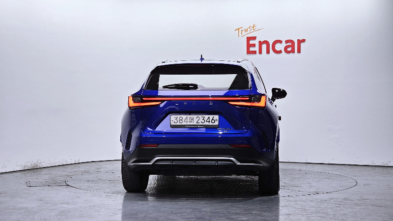 car Lexus NX id16825 photo #4