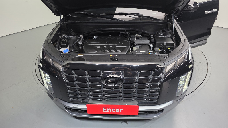 car Hyundai Palisade id17886 photo #6