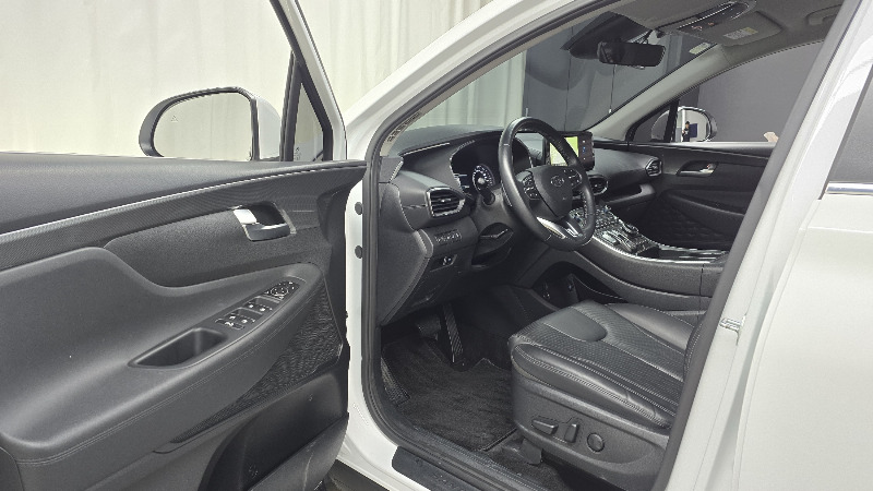 car Hyundai Santa FE id21068 photo #10