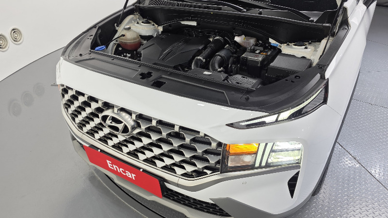 car Hyundai Santa FE id21083 photo #6