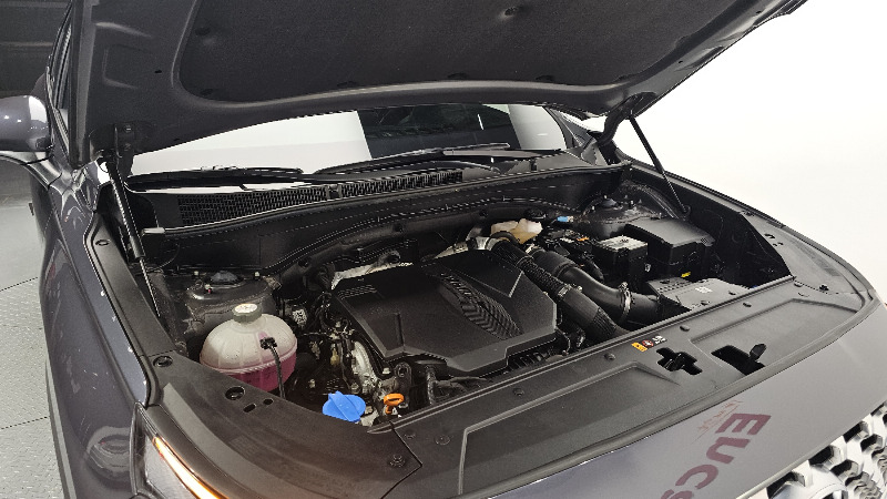 car Hyundai Santa FE id21089 photo #5