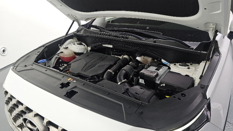 car Hyundai Santa FE id21096 photo #6