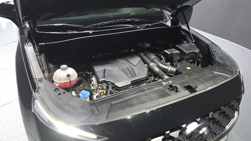 car Hyundai Santa FE id21901 photo #6