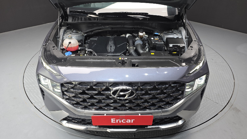 car Hyundai Santa FE id22168 photo #6