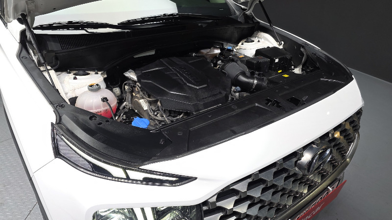 car Hyundai Santa FE id22422 photo #6