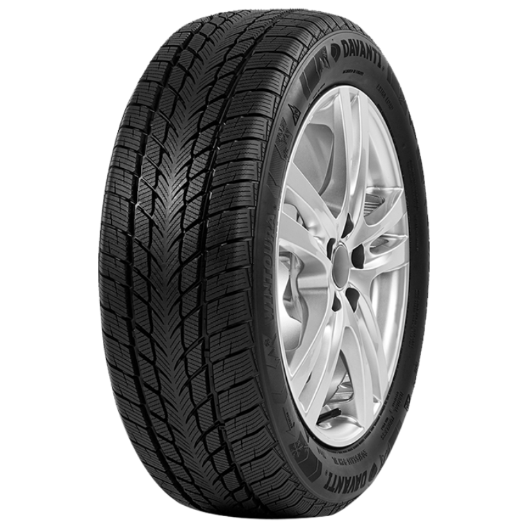 tyre Davanti Wintoura id354 main photo
